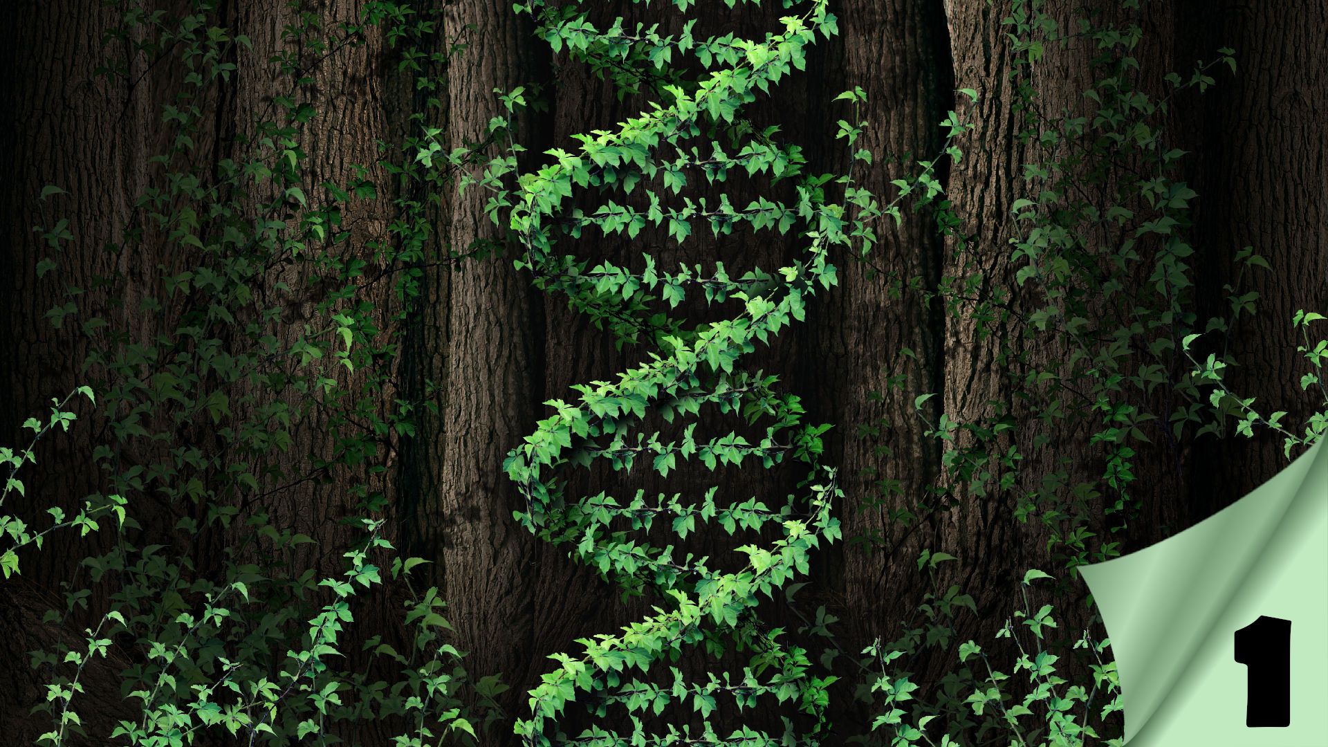 4. Das Gen des Lebens, Teil I – Die unbekannte Prophezeiung. A striking image of a vine growing in a pattern reminiscent of the double helix typically associated with DNA, set against a backdrop of shadowy tree trunks. Opens a video in a new window.