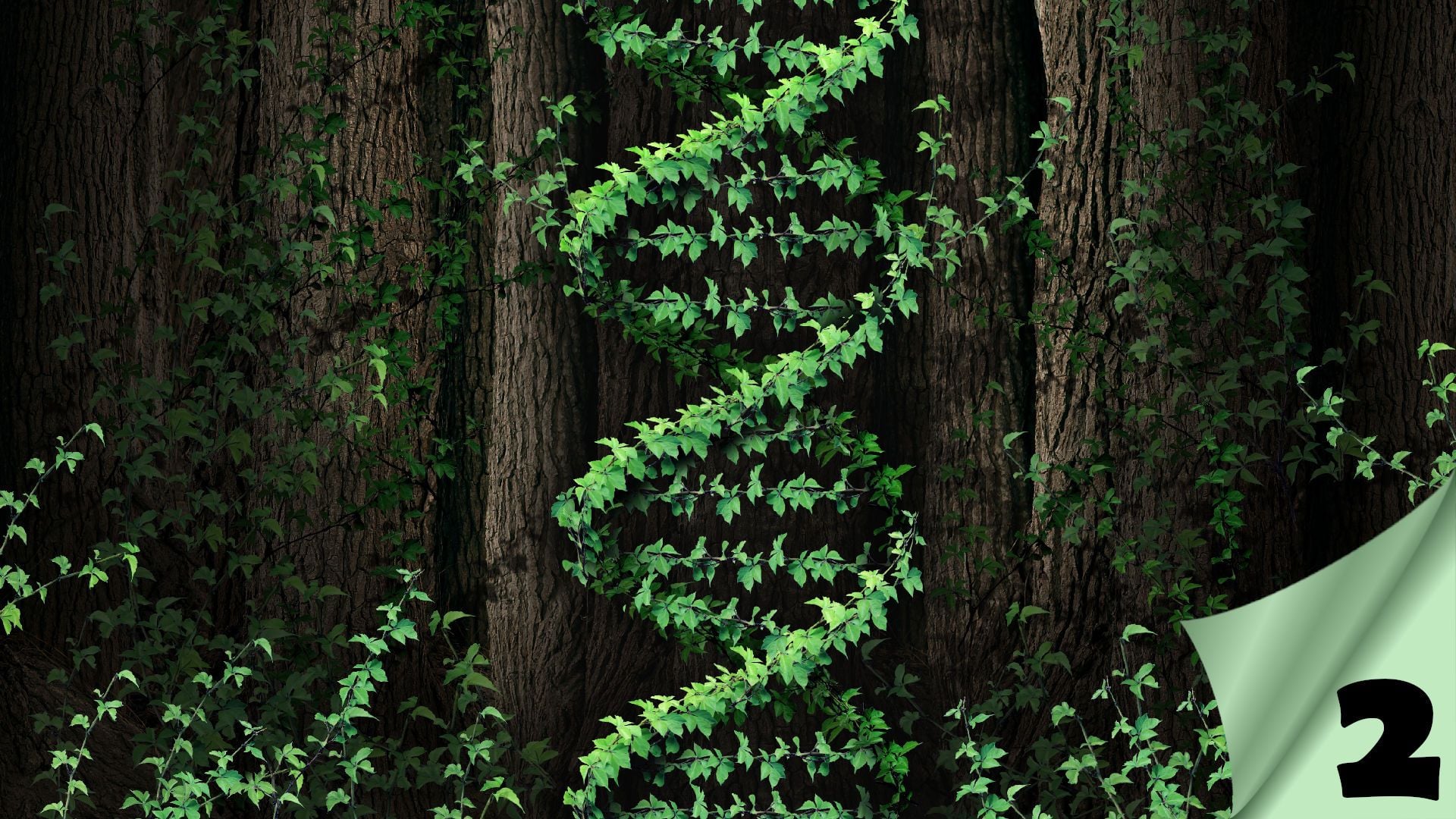 3. Das Gen des Lebens, Teil II – Die Genetik des Gerichts. A double helix design formed by green ivy vines against the backdrop of dark tree trunks, suggesting themes of natural growth and life's complexity. Opens a video in a new window.