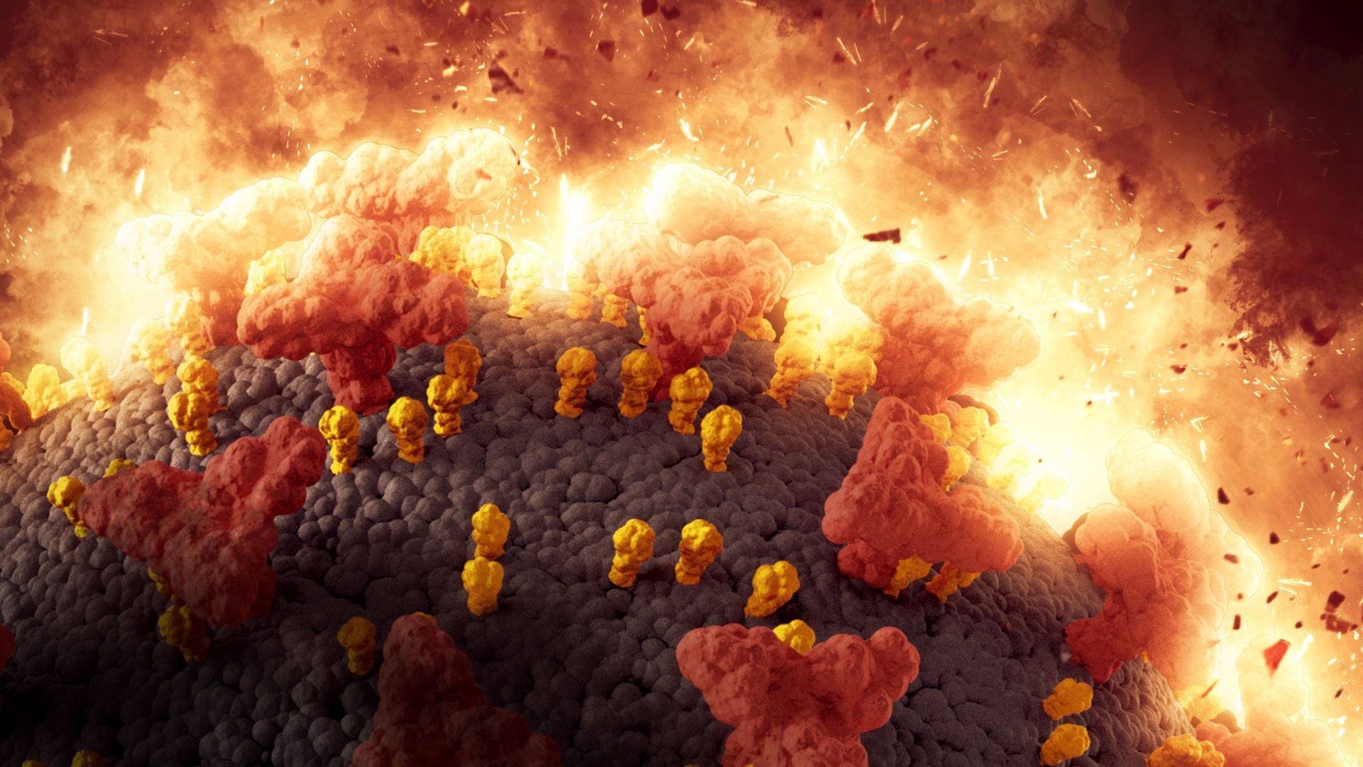 1. ¿Quién podrá sostenerse en pie?. Illustration of a microscale event showing large gray spheres covered in smaller yellow and red structures, amidst an intense fiery backdrop with bursts of flames and glowing particles. Opens a video in a new window.