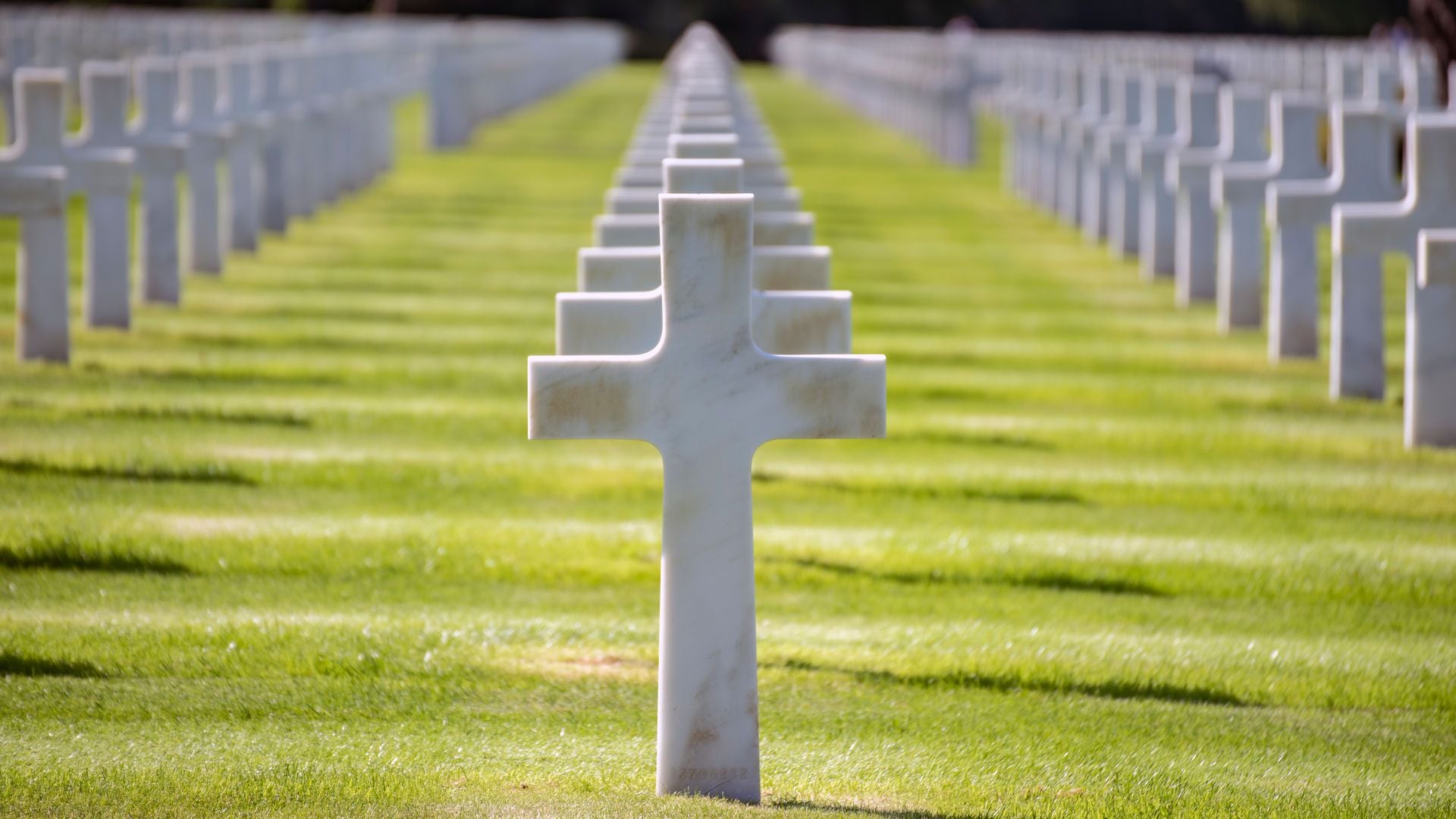 5. Der Krieg, den du übersehen hast. Rows of white cross markers aligned on a manicured green lawn under a clear sky, symbolizing remembrance. Opens a video in a new window.