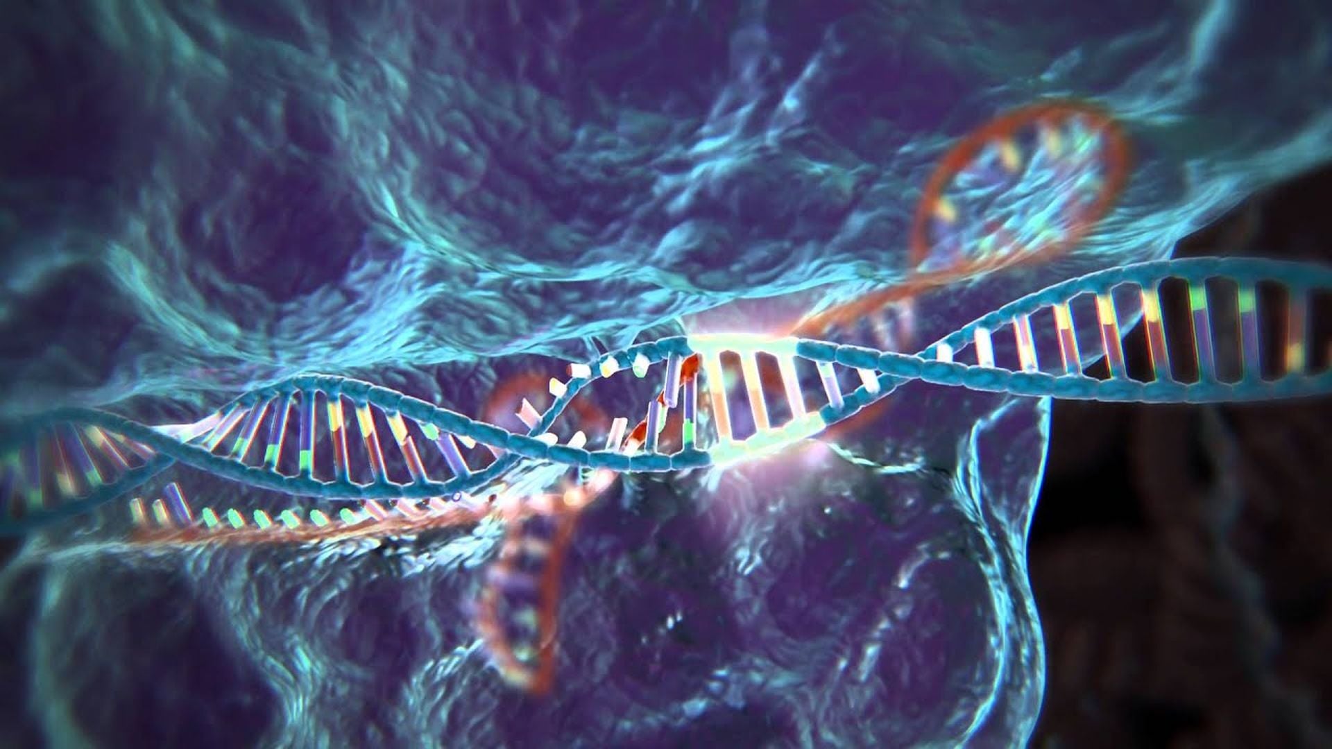 1. La técnica de edición genética CRISPR. A representation of a DNA double helix in a cosmic-like environment, with vibrant hues of blue and purple swirling in the background, symbolizing the intricacies of life woven into the fabric of the universe. Opens a video in a new window.