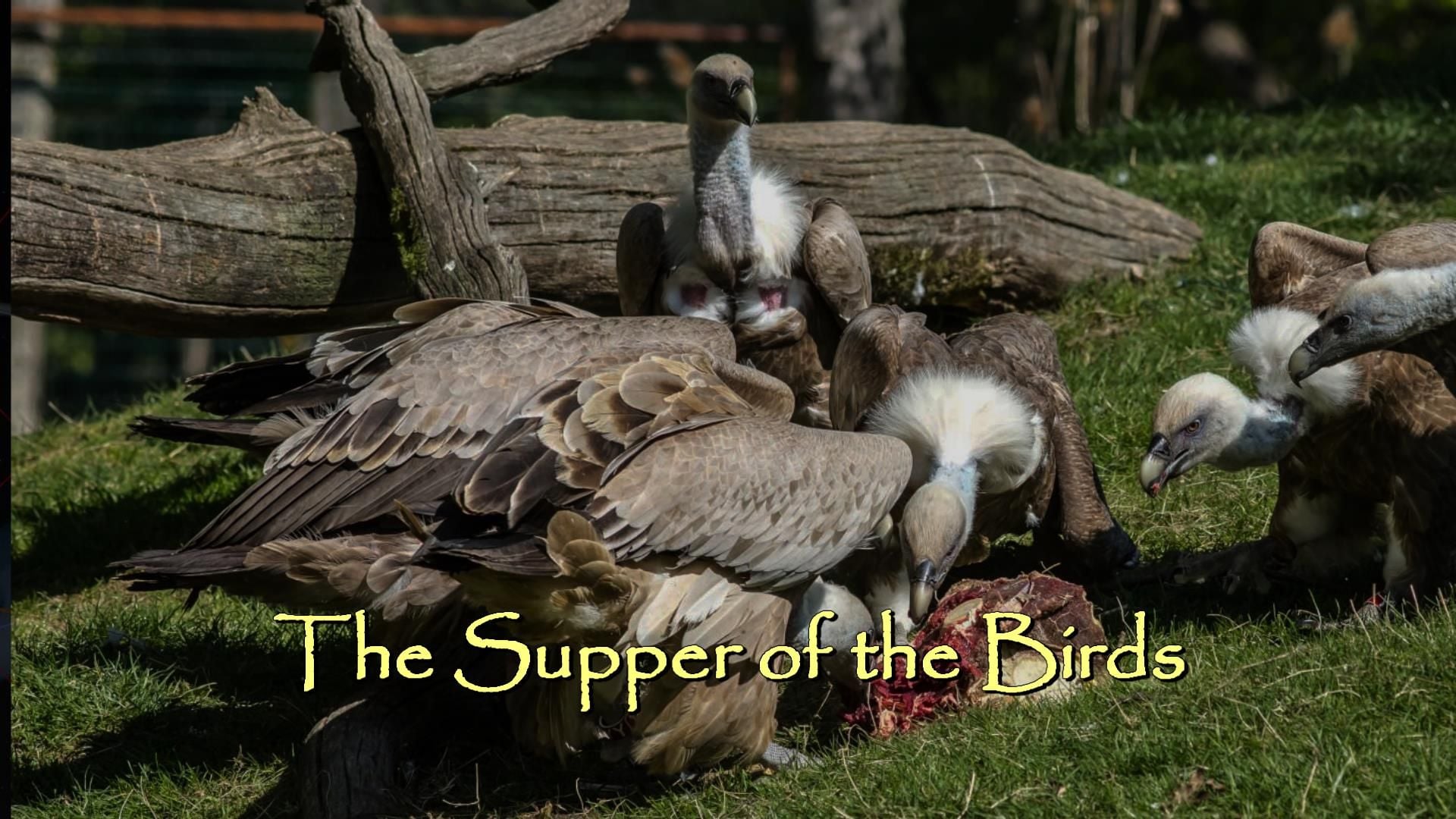 9. The Supper of the Birds. A group of vultures gathered around a meal in a grassy field, with natural logs and green grass visible in the background. The scene is titled "The Supper of the Birds". Opens a video in a new window.