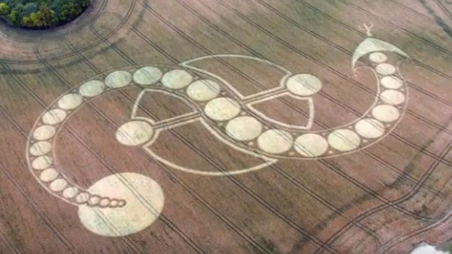 1. Agrolífico de Quetzalcóatl. Aerial view of a crop formation depicting a symbol from the Mazzaroth, featuring a series of circles patterned in a specific formation on a brown field. The design resembles an arc with interlinked circles and a tail with a crescent shape. Opens a video in a new window.
