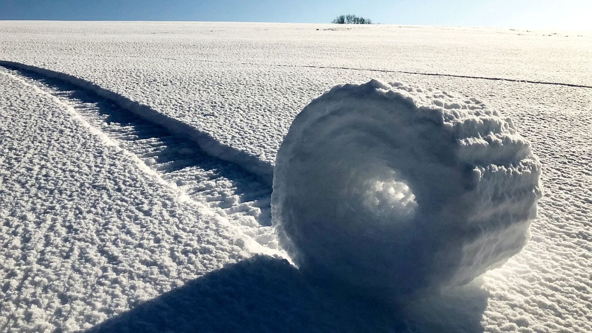 12. Seltene "Schneerollen" bilden sich im Feld eines Bauern in Wiltshire. A large, naturally-formed snowball rests on a pristine snow-covered field illuminated by sunlight, with a distinct trail showing its path and a small cluster of trees visible in the distance. Opens a video in a new window.